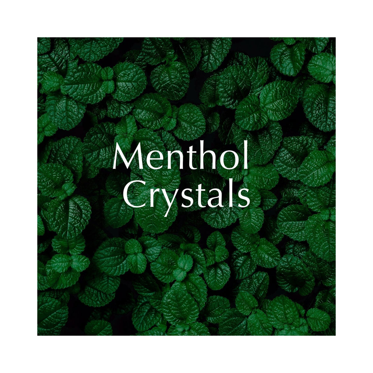 The Rise of Menthol Shower Steamers: Cooling Relief, Invigorating Calm